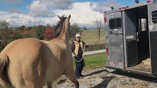 Lena Part 9- Closing The Butt Bar and the Door