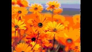 Flowers Posterize effect from windows live movie maker screenshot 5