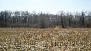 Homes for Sale - 18533 Highway 161 Bowling Green MO 63334 - Len Scherder