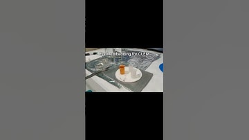 Behind the scenes: CLEM sample prep #biology #cell #clem #electronmicroscopy #microscopy #shorts