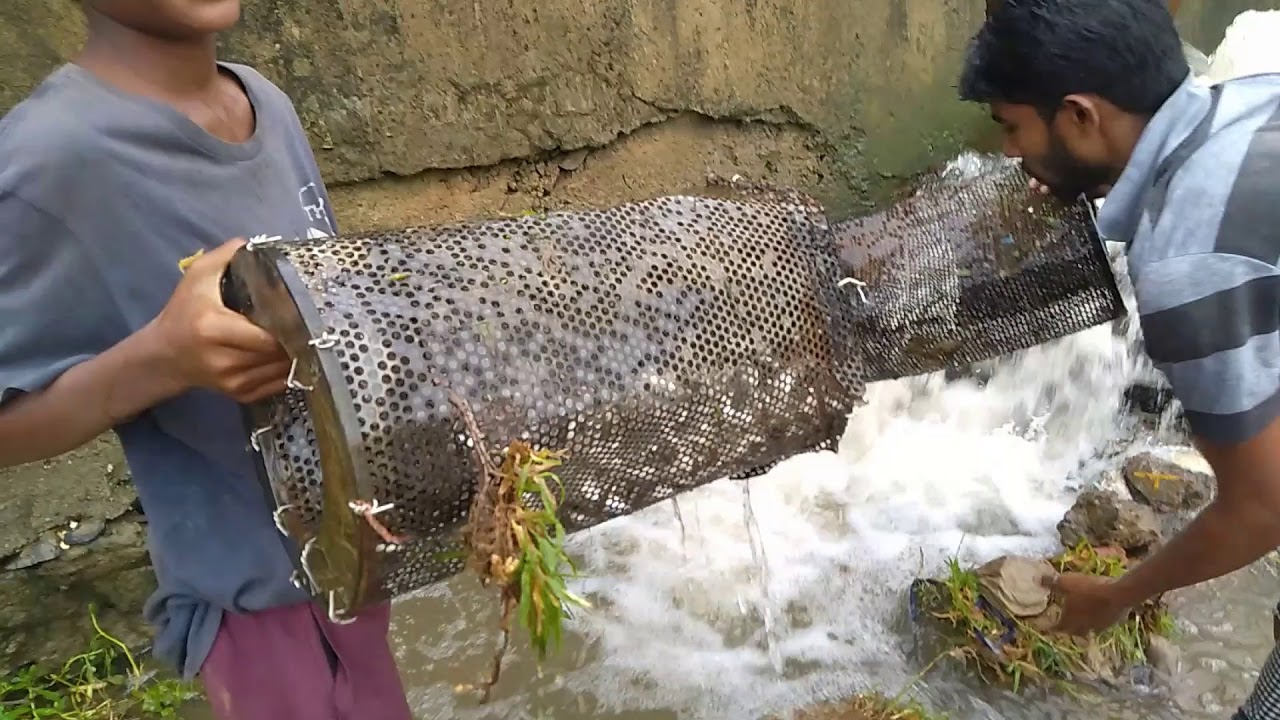 Believe This Fishing? Unique Fish Trapping System | New Technique Of Catching Country Fish