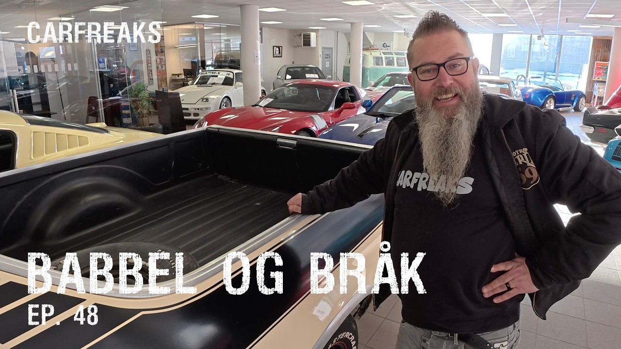 Babbel og bråk – Politisk asyl?