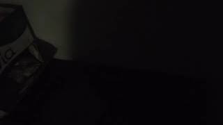 DSCF3005
