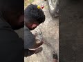 Tactar ka pata tut ge 🥺 #cgsong #tending #video #viral #viralvideo 🥺❤️🩹