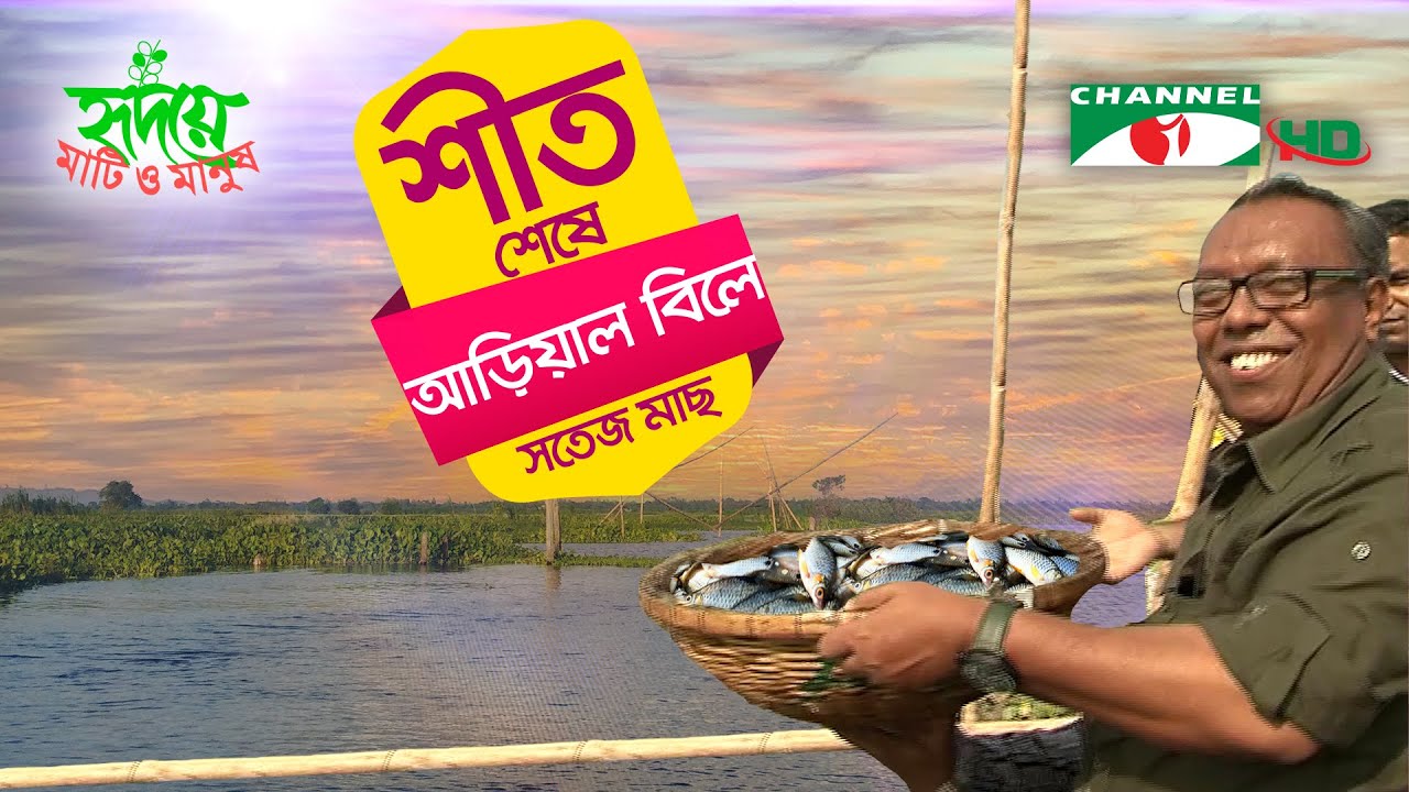 শীতের শেষে আড়িয়াল বিলের মাছ ‍ও প্রাকৃতিক সৌন্দর্য | Shykh Seraj | Channel i |