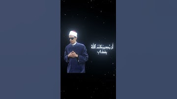 قران كريم بصوت هادئ وجميل الشيخ محمد احمد حسن الازهر الشريف #قرآن #quran
