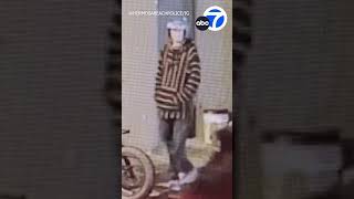 Hermosa Beach police looking for man who threw lit firework into crowd at Pride Month event
