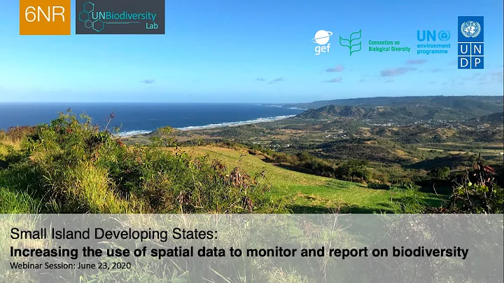 SIDS Webinar: 1.1. Lessons learned from 6NR | Mari...