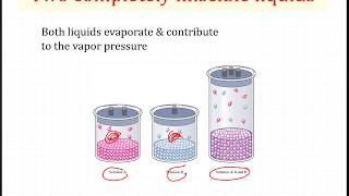 Chap 6 Two Component System Raoults's Law Part 2