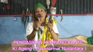 Download Mp3 Ilmu Pengasihan KEMBANG KANTIL.? Ilmu Pemikat Paling Ampuh.!!! Gudang lagu Download Mp3 Ilmu Pengasihan KEMBANG KANTIL.? Ilmu Pemikat Paling Ampuh.!!!