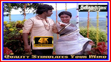 Rasave unna naan - Thanikattu raja
