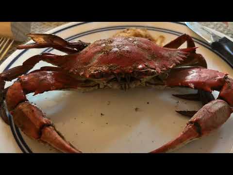 Crabbing Inshore Bays of Ocean City, MD Crabbing Inshore Bays of Ocean City, MD