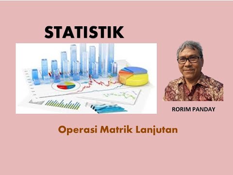 Video: Pengujian Invasi Spheroid 3D Berbasis Mikrokarrier Untuk Memantau Pergerakan Sel Dinamis Dalam Matriks Ekstraseluler