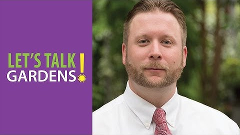 Learning from Nature: The Importance of Field Botany