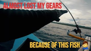 Almost lost my gears because of this fish || Rusty jobfish || GiantTiki