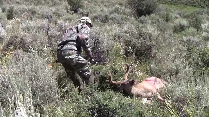 Archery Mule Deer Hunting in Northern Utah - Offgrid Outdoors
