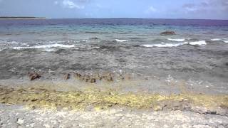 Maldives beach villa - J Resorts Alidhoo