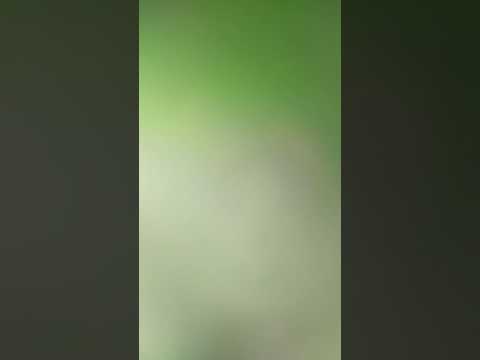 蔡小虎-男人的堅持 cover