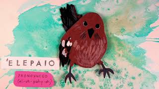 Na Manu ‘I‘o (Significant Birds)