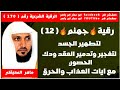 رقية جهنم لتطهير الجسد لتفجير وتدمير العقد ودك الحصون مع ايات العذاب والحرق الشيخ ماهر المعيقلي 