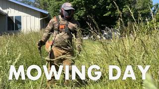 Reclaiming Waist-High Lawn (Stihl FS251)