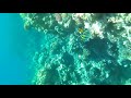 Подводный мир Красного моря Full HD. 01. Бухта Рас Ум Эль Сид. Шарм эль Шейх. Египет
