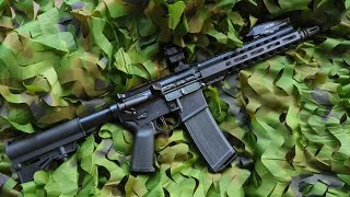 The Psa Guardsman And The Worst Ar Review Youve Ever Watched
