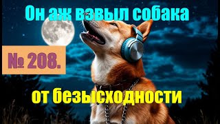 видео: № 208. Он даже завыл как собака от безысходности. Извиняюсь если будет три куска из № 207.#аферисты картинка: № 208. Он даже завыл как собака от безысходности. Извиняюсь если будет три куска из № 207.#аферисты