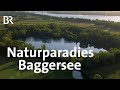 Wie gut mit Gewässern umgehen? I Artenvielfalt im Baggersee | Gute Nachrichten vom Planeten | BR