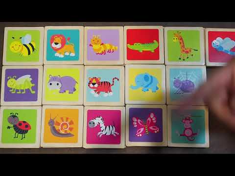 Play and Learn