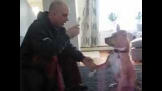 Beefcake Commands Feb 2013