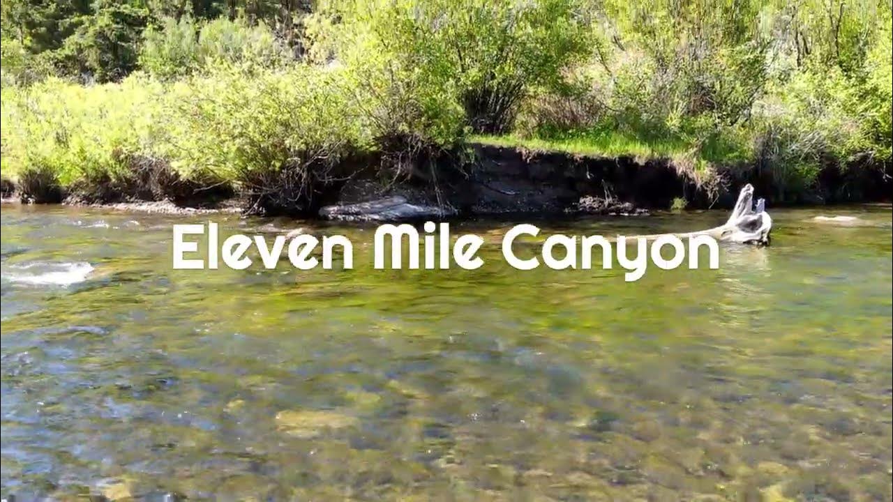 Spillway Campground, Eleven Mile Canyon, Colorado YouTube