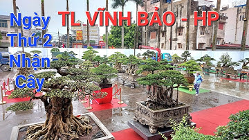 THÔNG TIN TỔNG HỢP ! Ngày thứ 2 nhận TP tại TL Vĩnh Bảo - Hải Phòng 2023 .