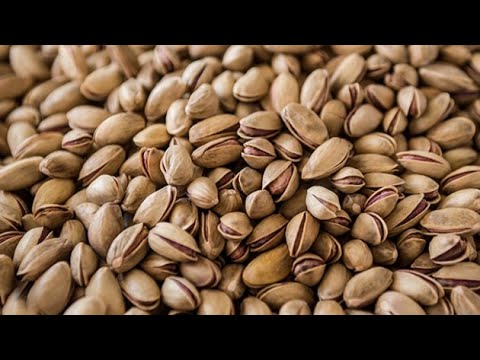 Ruyada Antep Fistigi Gormek Ne Anlama Gelir Antep Fistigi Youtube