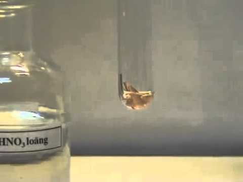 Video Cu + dd HNO3 loang - youtube