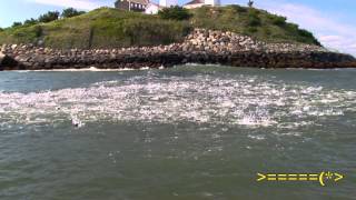BOB POPOVICS POP FLEYES VIDEO   MONTAUK BASS 2008