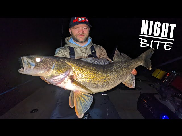 Catching Walleyes Almost EVERY CAST at NIGHT! 