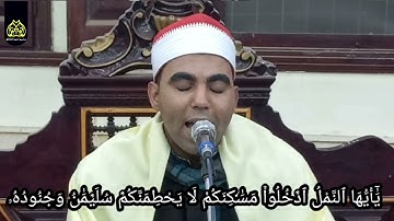مقطع من سورة النمل برواية البزي عن قنبل للقارئ : محمد عبد الخالق العنتيل