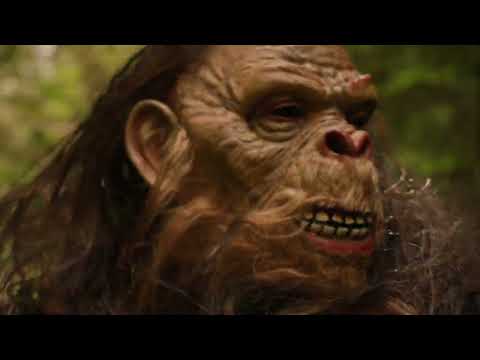 Dream Mat Mining with Bigfoot Commercial