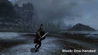 Skyrim Animation mod || TESO Animations - DK (Dynamic Block Direction fix)
