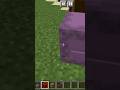 Minecraft chest hack amazing trick #technogamerz#gamerfleet
