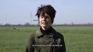 Investeren In Windpark Groote Haar