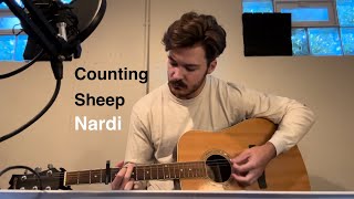 Nardi: Counting Sheep - Live Demo (mostly)