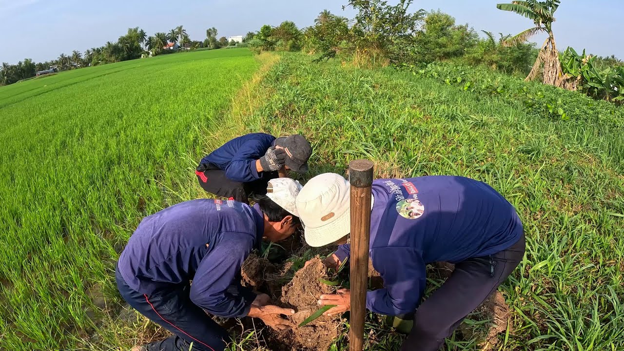 Cả 3 Con Rắn bắt được hôm nay đều có sự trùng hợp | TGSB #789