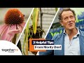 How To Plant a Big Tree, Create a Level Pond &amp; More Tips From Monty Don! | Big Dreams, Small Spaces