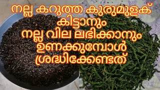 നല്ല കറുത്ത കുരുമുളക് കിട്ടാനും നല്ല വില ലഭിക്കാനും ഉണക്കുമ്പോൾ ശ്രദ്ധിക്കേണ്ടത് /pepper processing