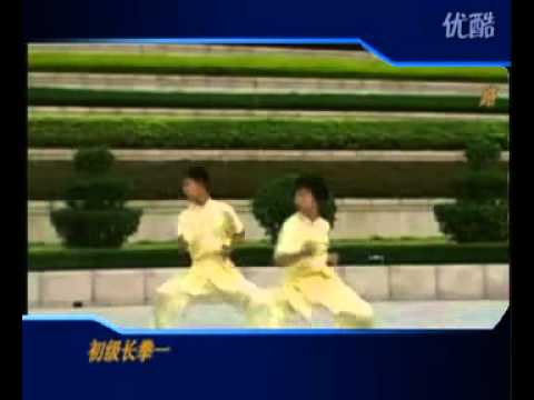 初级长拳一路