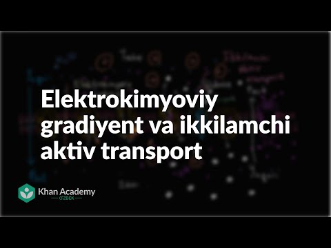 Elektrokimyoviy gradiyent va ikkilamchi aktiv transport | Membranalar va transport | Biologiya