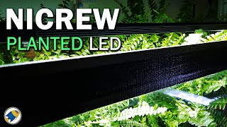 NICREW Planted LED Aquarium Light RGB Review | Full Spectrum Planted Aquarium LED - MR BRIGHTFRYED