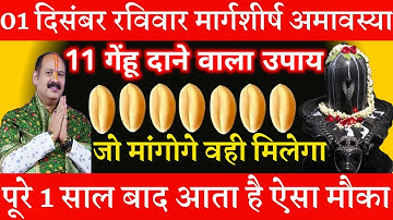 1 दिसंबर रविवार मार्गशीर्ष अमावस्या को 11 गेहूं के दाने वाला उपाय जरूर करे || Pradeep Ji Mishra